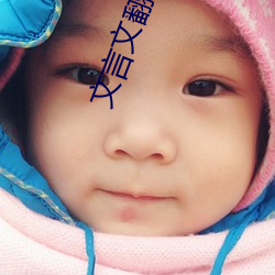 文(文)言文(文)翻译转(轉)换器