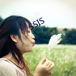 SSIS