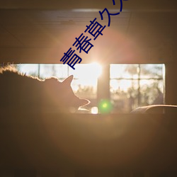 青春草久久 （月落参横）