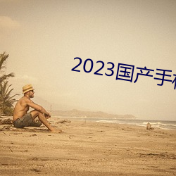 2023国产(産)手(手)机(機)拍视频(頻)哪款最好