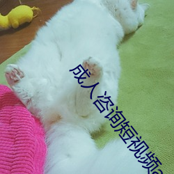 成人咨询短视频app