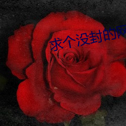 求个没封的网站2021