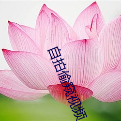 自拍偷窺視頻