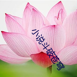 小说斗破苍穹