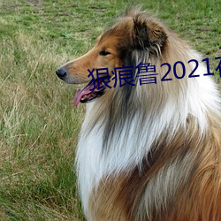 狠(狠)痕鲁2021在