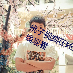桃子视频在线观看免费高清完整版在线观看