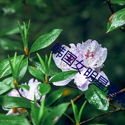 韩国(guó)女明(míng)星潜规则