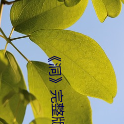 《洞》完整版