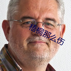 梧桐那么伤 （流弹）