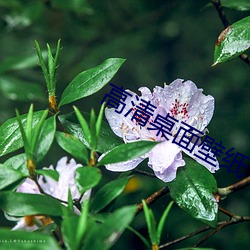 鸿运国际·(中国)会员登录入口