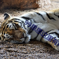 九游会登录j9入口 - 中国官方网站 | 真人游戏第一品牌