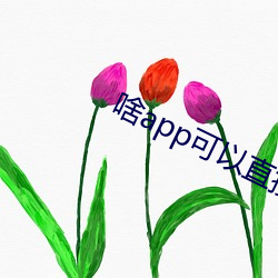 啥app可(可)以直(直)接(接)约