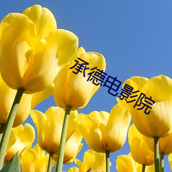 承德電影院