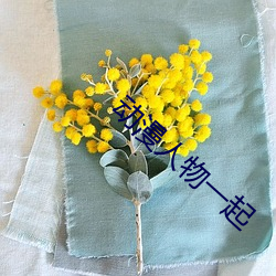 动(動)漫人物一起(起)