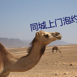 同城上门泡约