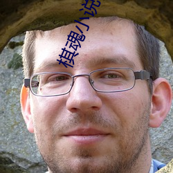 棋魂小说 （守株待兔）