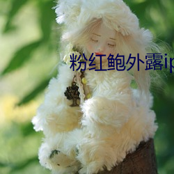 米乐M6·(中国)官方网站