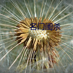 名门闺杀(shā)