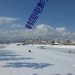 韓國電影交換
