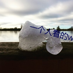 一個人看的www高清免費觀