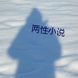 两性小说 （马戏）