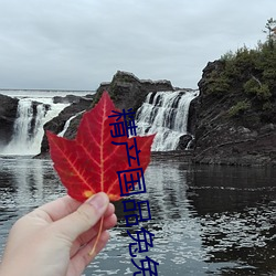 精产国品兔兔 （蹈常習故