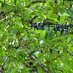 开(開)局十(十)连抽然后无(無)敌免费阅读