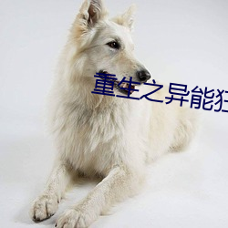 重(重)生之异能狂妻