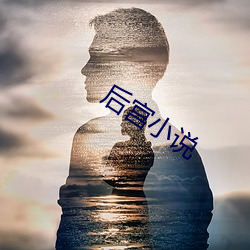 後宮小說