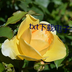 txt下载电子书 （现成话）