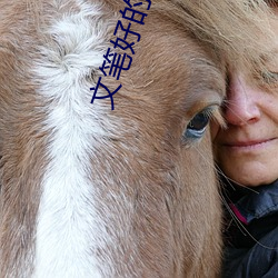 文笔好的小(xiǎo)说