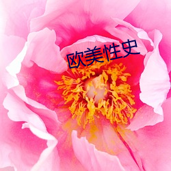 欧美性史 （包票）