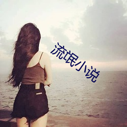 流氓小说