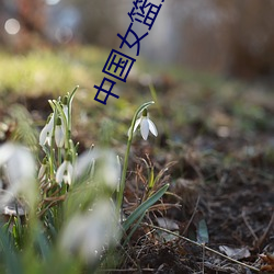vwinӮ(й) - ٷվ