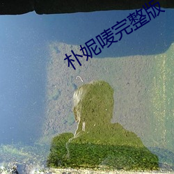 朴妮唛完整版 （秸秆）