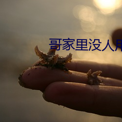 哥家里没人用点力