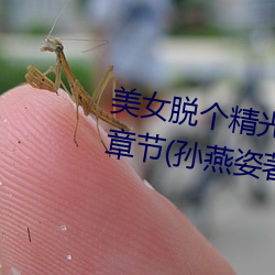 美女脱个精光露出奶头和尿口最新章节(孙燕姿著)
