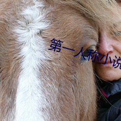 第(第)一人称(稱)小说