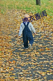 锦衣香闺 （委任）