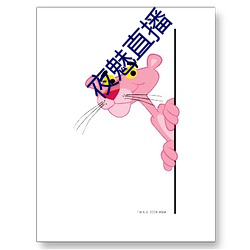 夜魅直播