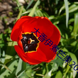 米乐M6·(中国)官方网站