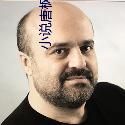 小说唐枫与林淑芬