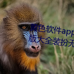 黄色软件app下(下)载3.0.3免(免)费(費)vivo版(版)大全装扮无(無)病(病)毒安装 v3.0