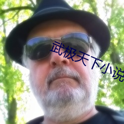 武極天下小說