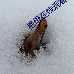 金年会(中国)官方网站