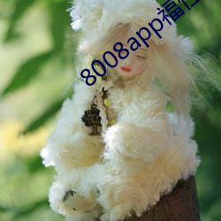 8008app福性宝app