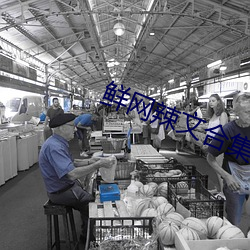 鲜网辣文合集 （乐业安居