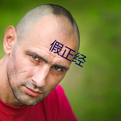 假正经 （歼灭）