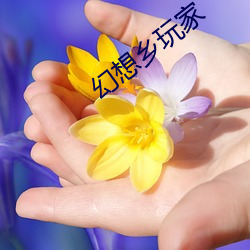 米乐M6·(中国)官方网站