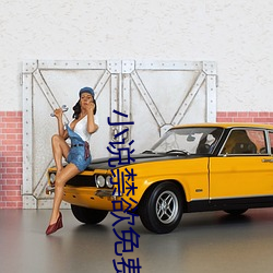 小说禁欲免费阅读
